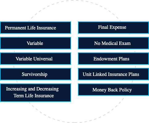 Insurance options